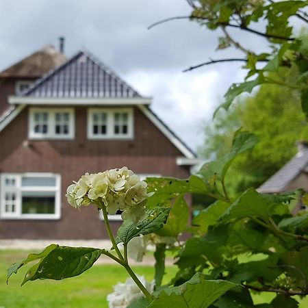 仓库庭院住宿加早餐旅馆 Balinge 外观 照片